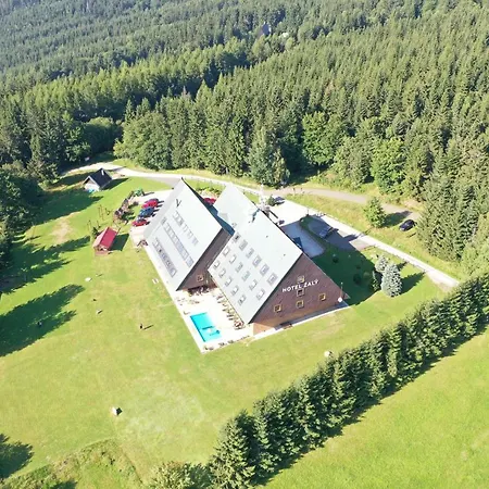 Hotel žalý