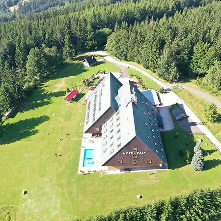 žalý Benecko