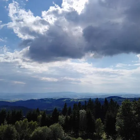 Hotel žalý 3*