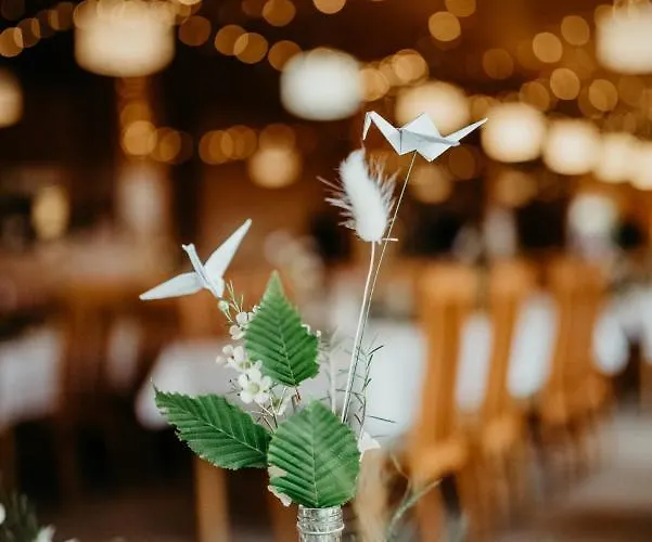 Zaly Hotel